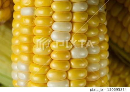 Detailed macro of fresh raw corn cobs 130695854