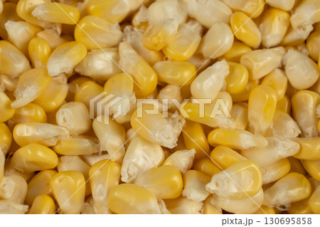 Close-Up Of Fresh Corn Kernels Texture From Above. 130695858