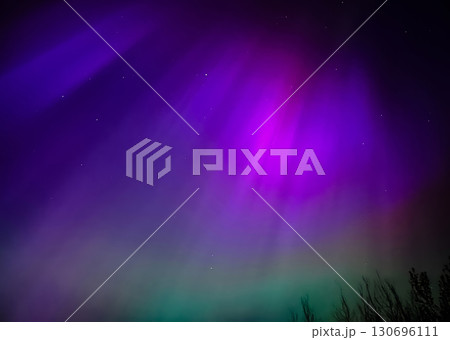 Magical and vibrant aurora borealis, Northern lights, glowing in a celestial display over a dark forest silhouette 130696111