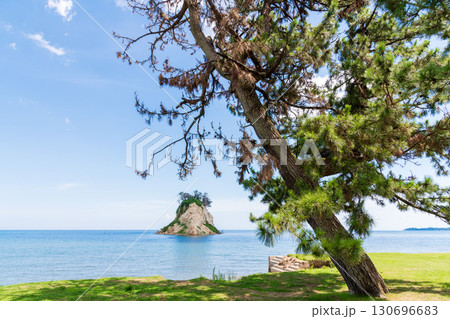 真夏の見附島と陸地の侵食による海水の侵入で枯れかけている見附園地の松の木 130696683