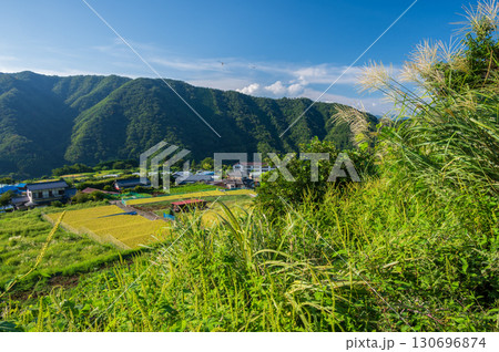 初秋の青根 秋の里風景 初秋の青根 秋の里風景 130696874