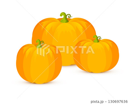 Orange pumpkins set. Bright ripe vegetables with green stems for autumn harvest, Halloween or Thanksgiving design, seasonal food and farming concept. Colorful cartoon vector illustration 130697636