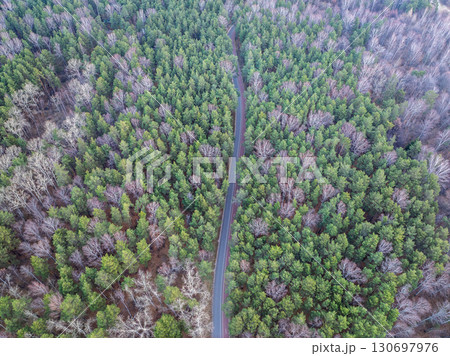 Aerial view of road in beautiful autumn forest at sunset. Beautiful landscape with empty rural road, trees with red and orange leaves. Aerial view of road in beautiful autumn forest at sunset. Beautiful landscape with empty rural road, trees with red and orange leaves. 130697976