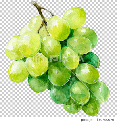 一串綠葡萄的水彩插圖，馬斯喀特風格的水果材料，PNG剪貼畫 130700076