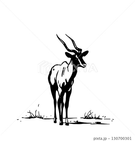 Eland. Eland simple black and white line art vector logo 130700301
