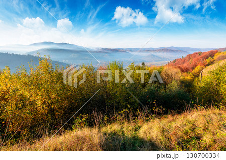 view from a mountain in to the foggy valley. beautiful autumn landscape. forested hills in fall colors. sunny morning. uzhanian national park district view from a mountain in to the foggy valley. beautiful autumn landscape. forested hills in fall colors. sunny morning. uzhanian national park district 130700334