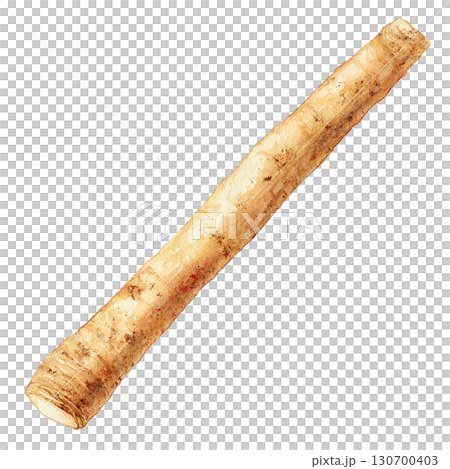 水彩風のごぼうイラスト　根菜類の食材　PNG切り抜き素材 130700403