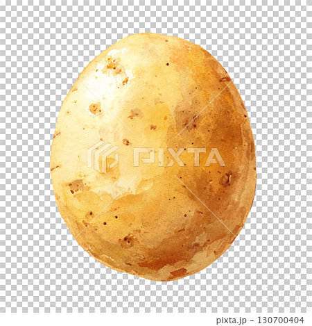 水彩風のじゃがいもイラスト　野菜の食材　PNG切り抜き素材 130700404