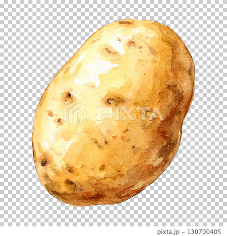 水彩風のじゃがいもイラスト　野菜の食材　PNG切り抜き素材 130700405