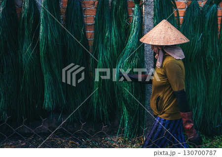 Vietnamese woman in traditional straw hat works on background of drying dyed green reeds in the production of woven mats in Vietnam Vietnamese woman in traditional straw hat works on background of drying dyed green reeds in the production of woven mats in Vietnam 130700787