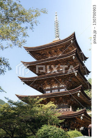 瑠璃光寺の五重塔 130700903