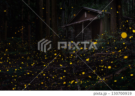 福岡県の八劔神社の姫蛍と古屋 130700919