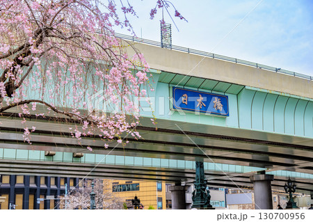東京　中央区　日本橋と桜 130700956