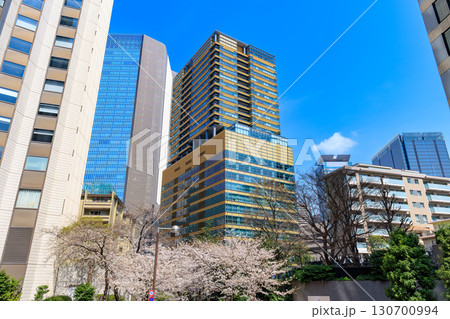 東京 港区 赤坂一丁目の桜 東京 港区 赤坂一丁目の桜 130700994