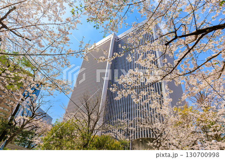 東京 港区 赤坂一丁目の桜 東京 港区 赤坂一丁目の桜 130700998