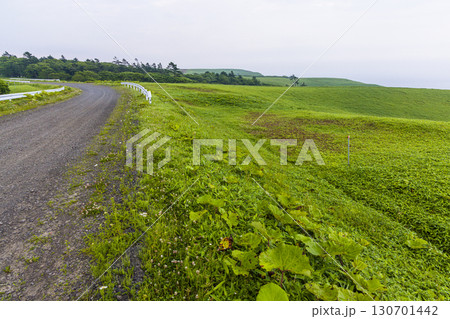 【北海道_釧路郡_尻羽岬】思わず深呼吸したくなるような心も体も癒やされる避暑地 7月 130701442