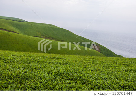 【北海道_釧路郡_尻羽岬】思わず深呼吸したくなるような心も体も癒やされる避暑地 7月 【北海道_釧路郡_尻羽岬】思わず深呼吸したくなるような心も体も癒やされる避暑地 7月 130701447