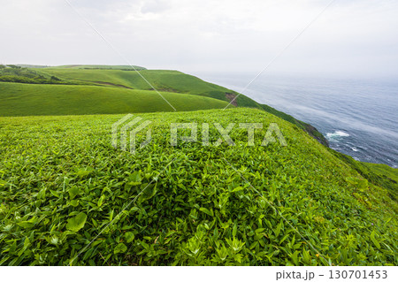 【北海道_釧路郡_尻羽岬】思わず深呼吸したくなるような心も体も癒やされる避暑地 7月 130701453