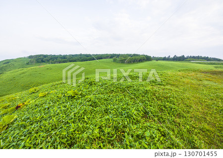 【北海道_釧路郡_尻羽岬】思わず深呼吸したくなるような心も体も癒やされる避暑地 7月 130701455