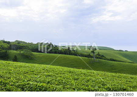 【北海道_釧路郡_尻羽岬】思わず深呼吸したくなるような心も体も癒やされる避暑地 7月 130701460