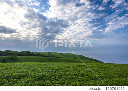 【北海道_釧路郡_尻羽岬】思わず深呼吸したくなるような心も体も癒やされる避暑地 7月 130701462