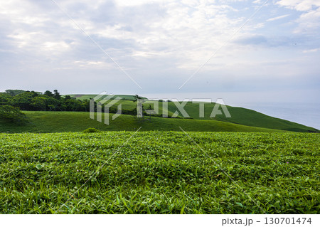 【北海道_釧路郡_尻羽岬】思わず深呼吸したくなるような心も体も癒やされる避暑地 7月 130701474