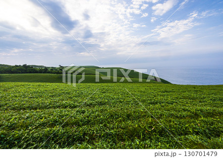 【北海道_釧路郡_尻羽岬】思わず深呼吸したくなるような心も体も癒やされる避暑地 7月 130701479
