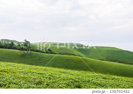 【北海道_釧路郡_尻羽岬】思わず深呼吸したくなるような心も体も癒やされる避暑地 7月 130701482
