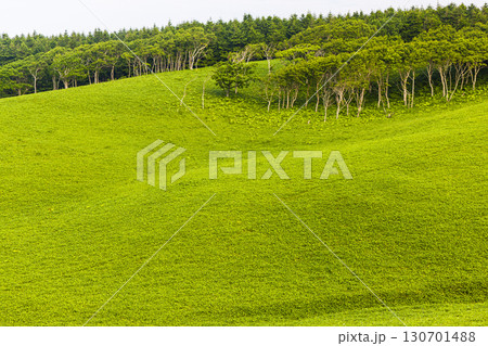 【北海道_釧路郡_尻羽岬】思わず深呼吸したくなるような心も体も癒やされる避暑地 7月 【北海道_釧路郡_尻羽岬】思わず深呼吸したくなるような心も体も癒やされる避暑地 7月 130701488