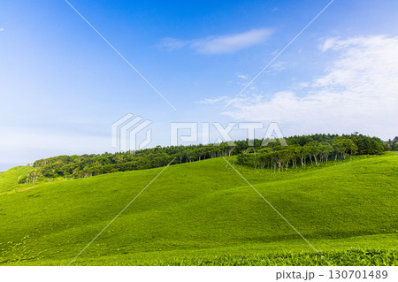 【北海道_釧路郡_尻羽岬】思わず深呼吸したくなるような心も体も癒やされる避暑地 7月 130701489