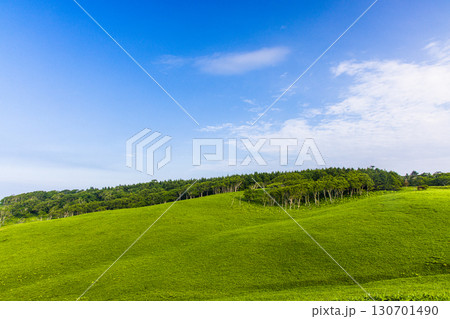 【北海道_釧路郡_尻羽岬】思わず深呼吸したくなるような心も体も癒やされる避暑地 7月 130701490