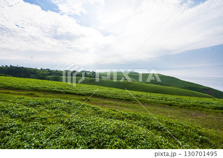 【北海道_釧路郡_尻羽岬】思わず深呼吸したくなるような心も体も癒やされる避暑地 7月 130701495