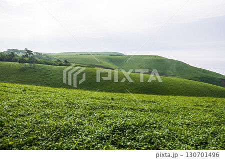 【北海道_釧路郡_尻羽岬】思わず深呼吸したくなるような心も体も癒やされる避暑地 7月 130701496