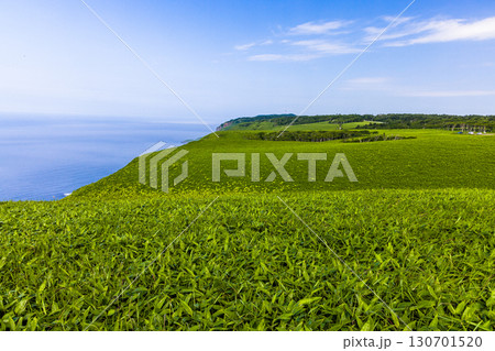 【北海道_釧路郡_尻羽岬】思わず深呼吸したくなるような心も体も癒やされる避暑地 7月 130701520
