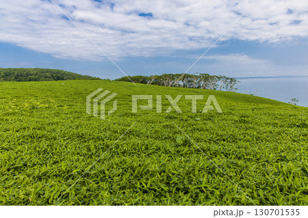 【北海道_釧路郡_尻羽岬】思わず深呼吸したくなるような心も体も癒やされる避暑地 7月 130701535