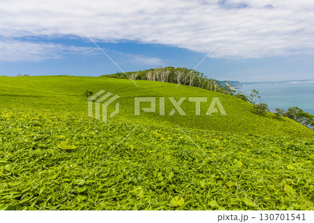 【北海道_釧路郡_尻羽岬】思わず深呼吸したくなるような心も体も癒やされる避暑地 7月 130701541