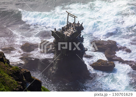 【北海道_釧路郡_尻羽岬】思わず深呼吸したくなるような心も体も癒やされる避暑地 7月 130701629