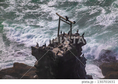 【北海道_釧路郡_尻羽岬】思わず深呼吸したくなるような心も体も癒やされる避暑地 7月 【北海道_釧路郡_尻羽岬】思わず深呼吸したくなるような心も体も癒やされる避暑地 7月 130701631