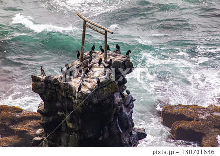 【北海道_釧路郡_尻羽岬】思わず深呼吸したくなるような心も体も癒やされる避暑地 7月 130701636