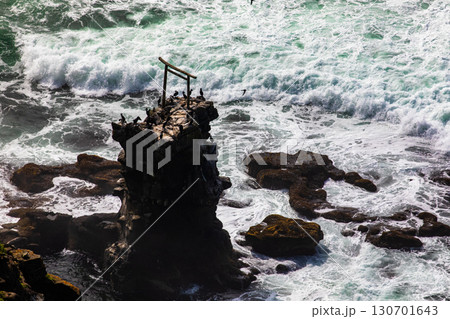 【北海道_釧路郡_尻羽岬】思わず深呼吸したくなるような心も体も癒やされる避暑地 7月 130701643