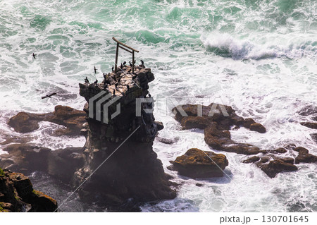 【北海道_釧路郡_尻羽岬】思わず深呼吸したくなるような心も体も癒やされる避暑地 7月 130701645