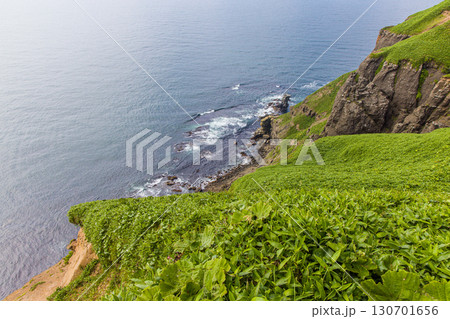 【北海道_釧路郡_尻羽岬】思わず深呼吸したくなるような心も体も癒やされる避暑地 7月 130701656