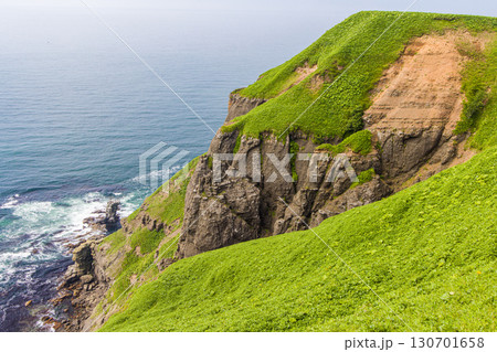 【北海道_釧路郡_尻羽岬】思わず深呼吸したくなるような心も体も癒やされる避暑地 7月 130701658