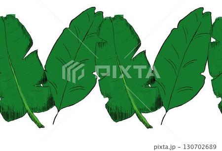 Jungle Banana leaves seamless border graphic plants botanical vector illustration Jungle Banana leaves seamless border graphic plants botanical vector illustration 130702689