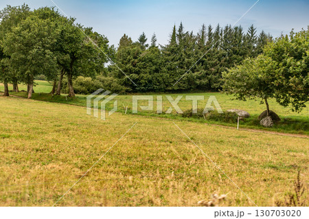 Illustration of Brittany in France, granit, sea, land Illustration of Brittany in France, granit, sea, land 130703020