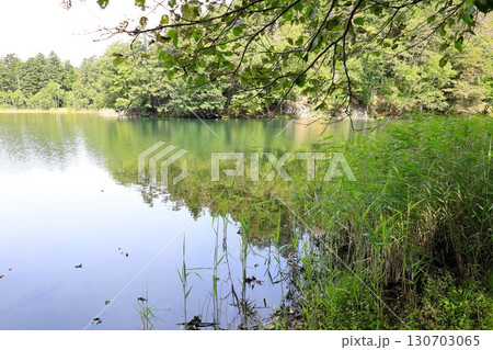 北海道オンネトーの神秘的な湖畔 130703065