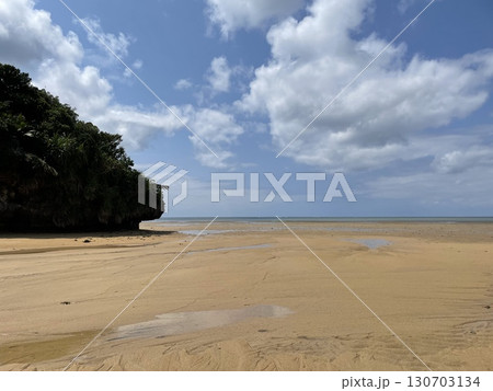 石垣島のヒルギ群衆 石垣島のヒルギ群衆 130703134