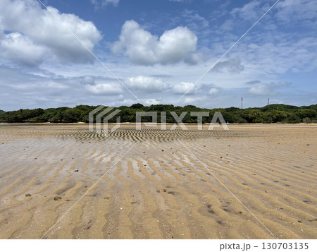 沖縄の自然 130703135