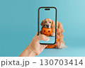 Dog with pumpkin illustration on blue background, Halloween holiday design made on mobile 130703414