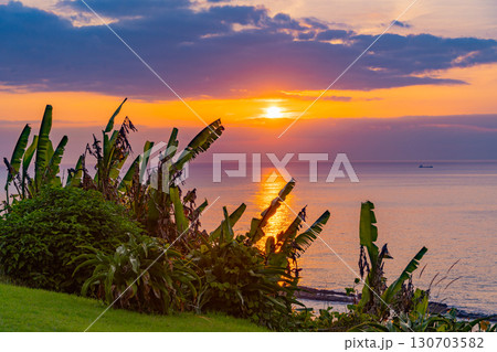 【宮崎県】宮崎市・道の駅フェニックスから見る日の出 130703582